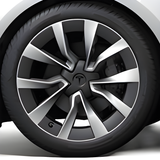 Tesla Wheel Touch-Up Paint for Model 3 19-inch Silver Nova Rims - Color-matched Paint for DIY Curb Rash Repair